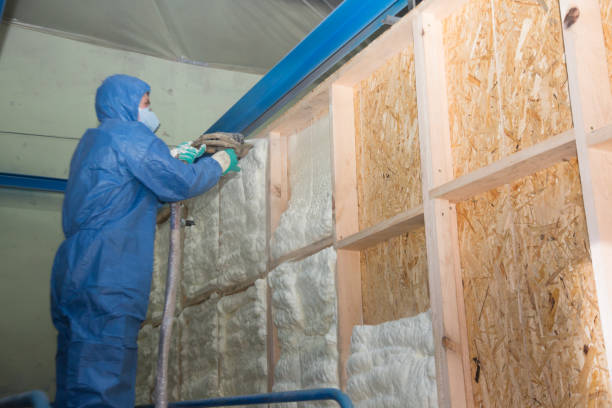 Best Insulation for New Construction  in North Hills, NY